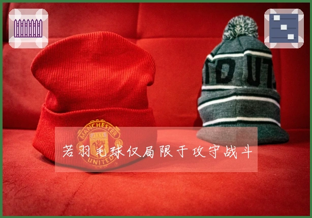 若羽毛球仅局限于攻守战斗